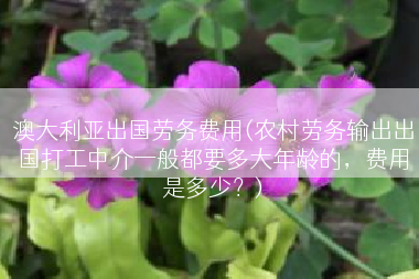澳大利亚出国劳务费用(农村劳务输出出国打工中介一般都要多大年龄的，费用是多少？)