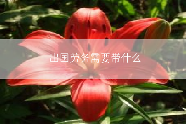 出国劳务需要带什么