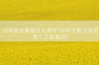 出国劳务需要什么条件?如何才能出国劳务？工资高吗?