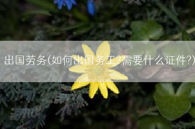 出国劳务(如何出国务工?需要什么证件?)