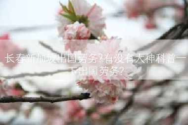 长春新加坡出国劳务?有没有大神科普一下出国劳务?