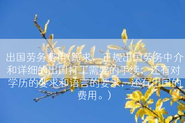 出国劳务费用(跪求，正规出国劳务中介和详细的出国打工需要的手续，还有对学历的要求和语言的要求，还有出国的费用。)