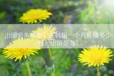 出国劳务费用？去韩国一个月能赚多少啊？出国劳务？