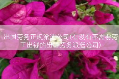 出国劳务正规派遣公司(有没有不需要劳工出钱的出国劳务派遣公司)