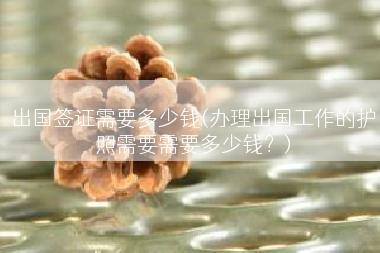 出国签证需要多少钱(办理出国工作的护照需要需要多少钱？)