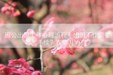 因公出国工作办理流程？出国工作需要哪些手续？在哪儿办理？