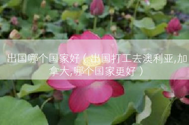 出国哪个国家好（出国打工去澳利亚,加拿大,哪个国家更好）