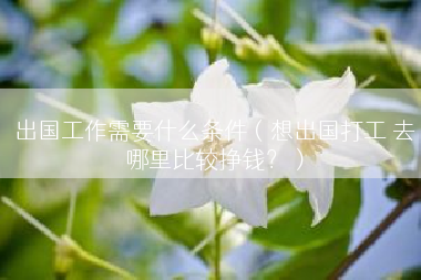 出国工作需要什么条件（想出国打工 去哪里比较挣钱？）