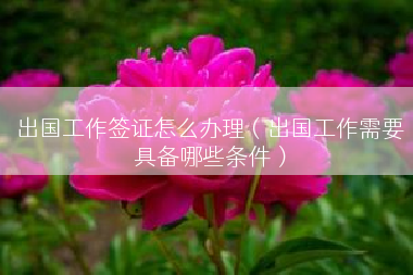出国工作签证怎么办理（出国工作需要具备哪些条件）