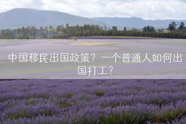 中国移民出国政策？一个普通人如何出国打工？