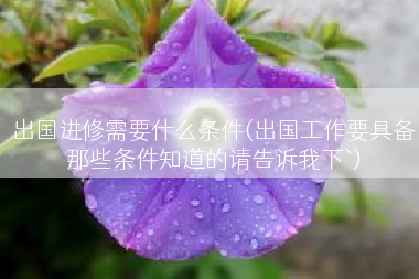 出国进修需要什么条件(出国工作要具备那些条件知道的请告诉我下`)