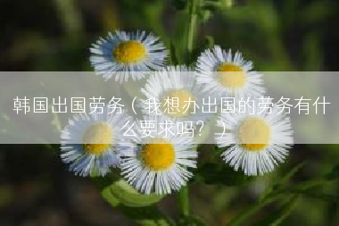 韩国出国劳务（我想办出国的劳务有什么要求吗？）