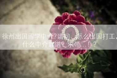 徐州出国留学中介?请问、怎么出国打工，什么中介靠谱？求带...！?