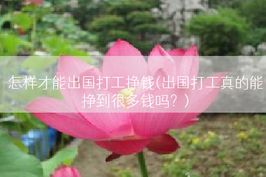 怎样才能出国打工挣钱(出国打工真的能挣到很多钱吗？)