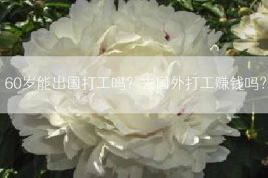 60岁能出国打工吗？去国外打工赚钱吗？