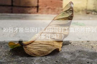 如何才能出国打工(出国打工真的能挣到很多钱吗？)