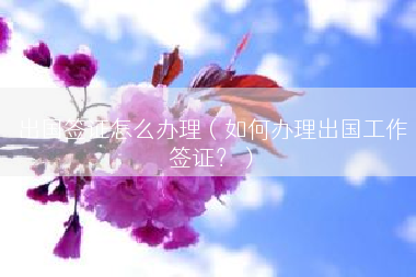 出国签证怎么办理（如何办理出国工作签证？）