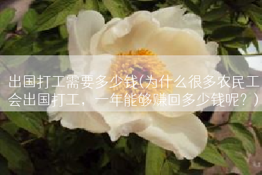 出国打工需要多少钱(为什么很多农民工会出国打工，一年能够赚回多少钱呢？)