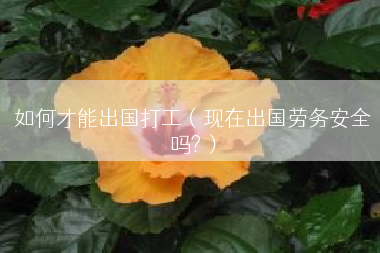 如何才能出国打工（现在出国劳务安全吗?）
