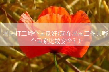 出国打工哪个国家好(现在出国工作去哪个国家比较安全？)