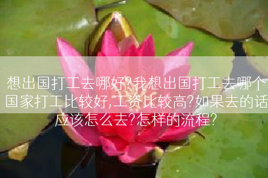 想出国打工去哪好?我想出国打工去哪个国家打工比较好,工资比较高?如果去的话应该怎么去?怎样的流程?