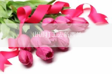 出国打工去新西兰