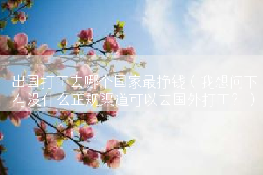 出国打工去哪个国家最挣钱（我想问下有没什么正规渠道可以去国外打工？）