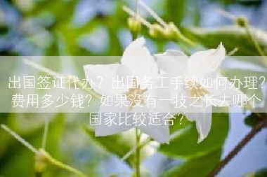 出国签证代办？出国务工手续如何办理？费用多少钱？如果没有一技之长去哪个国家比较适合？