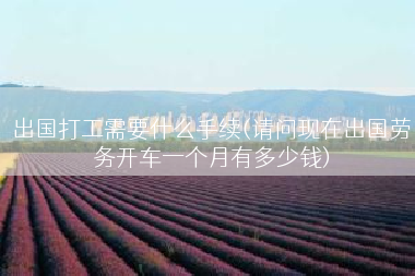 出国打工需要什么手续(请问现在出国劳务开车一个月有多少钱)