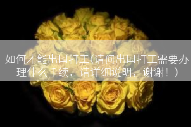 如何才能出国打工(请问出国打工需要办理什么手续，请详细说明，谢谢！)
