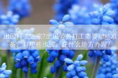 出国打工之家?出国劳务打工需要那些准备，有那些步骤，在什么地方办理?
