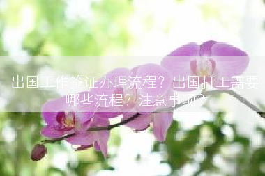 出国工作签证办理流程？出国打工需要哪些流程？注意事项？