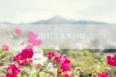 出国打工劳务公司