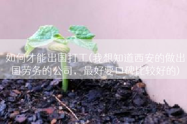 如何才能出国打工(我想知道西安的做出国劳务的公司，最好要口碑比较好的)