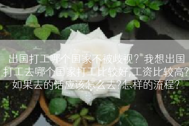 出国打工哪个国家不被歧视？我想出国打工去哪个国家打工比较好,工资比较高?如果去的话应该怎么去?怎样的流程？
