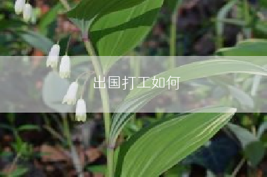 出国打工如何