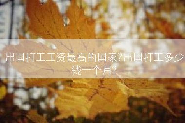 出国打工工资最高的国家?出国打工多少钱一个月?