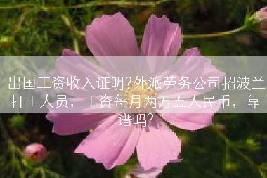 出国工资收入证明?外派劳务公司招波兰打工人员，工资每月两万五人民币，靠谱吗?