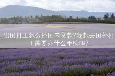 出国打工怎么还国内贷款?我想去国外打工需要办什么手续吗?