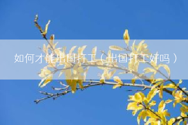如何才能出国打工（出国打工好吗）