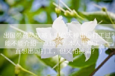 出国带药品攻略（哪位大神出国打工过？能不能介绍一点经验？本人电焊工，一直想出国打工，但又怕被骗？）