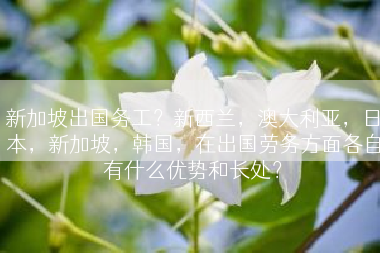 新加坡出国务工？新西兰，澳大利亚，日本，新加坡，韩国，在出国劳务方面各自有什么优势和长处？