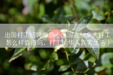 出国打工招聘信息（出国去加拿大打工怎么样靠谱吗，打工的华人真实生活）