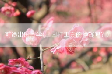 前途出国留学(出国打工真的挣钱吗？)