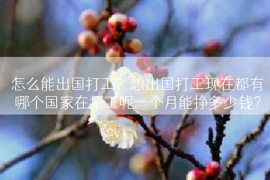 怎么能出国打工？想出国打工现在都有哪个国家在招工呢一个月能挣多少钱？