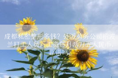成都私密整形多钱？外派劳务公司招波兰打工人员，工资每月两万五人民币，靠谱吗？
