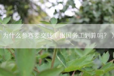为什么参赛要交钱（出国务工划算吗？）