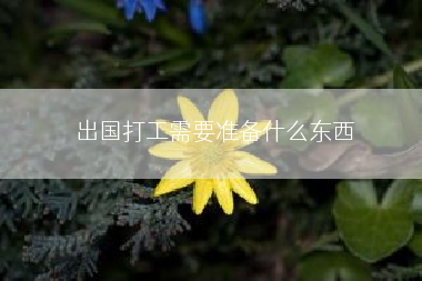 出国打工需要准备什么东西
