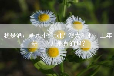 我是酒厂薪水小偷txt？澳大利亚打工年薪三十万是真的吗？