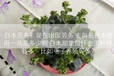 日本劳务？现在出国劳务 去向是日本费用一共是多少啊 日本那里做什么工种挣钱多·比如电子养殖等等？